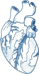 Dijabetična bolest srca